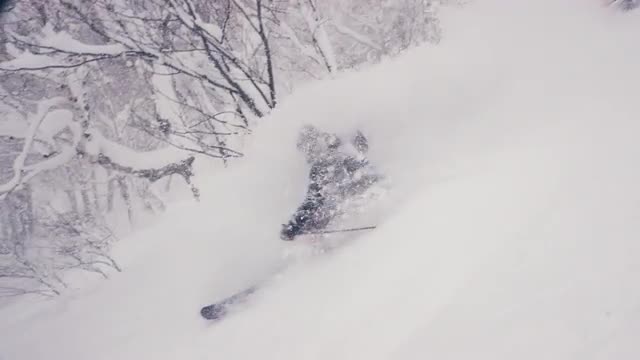 Slow Motion Tree Skiing - Japan