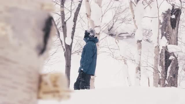 Snowboarder Resting on a Tree in Japan