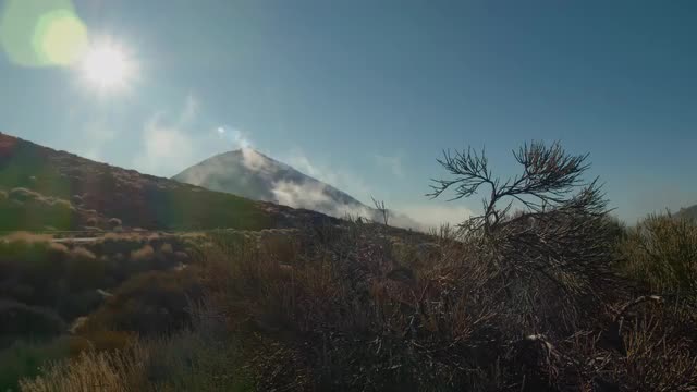 Nature scene with highland road and bright sunshine on Tenerife