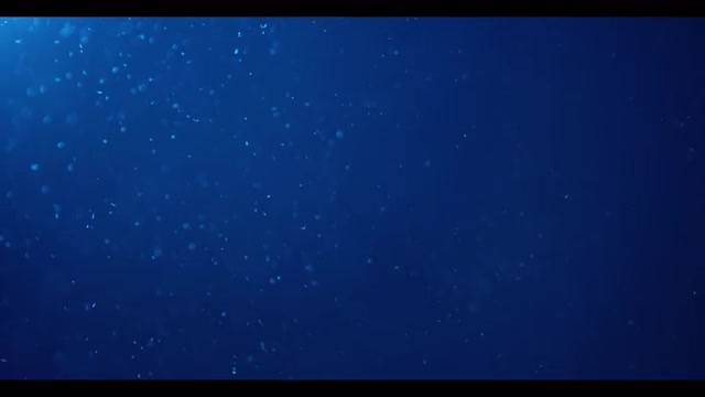 Close up of snow flakes falling lightly at night