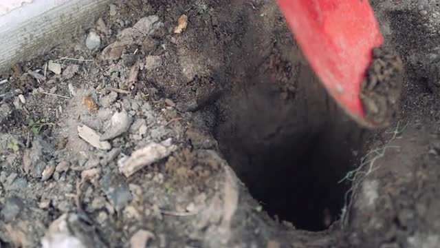 Close on hole in ground as red shovel scoops dirt out in slow motion