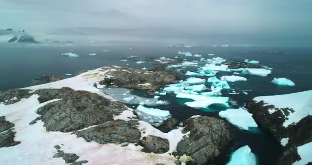 Icebergs and coast
