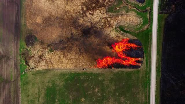 Prescribed burns