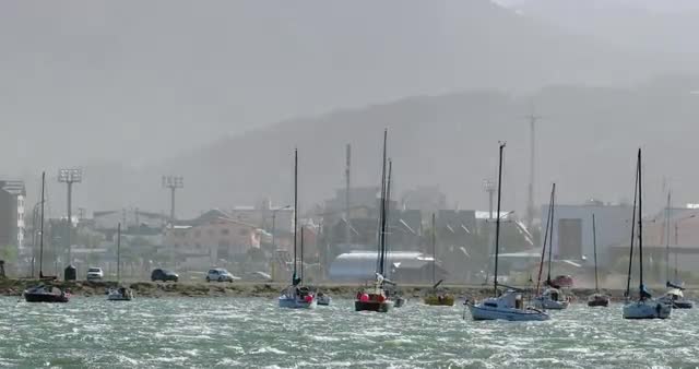 Sailboats in harbor