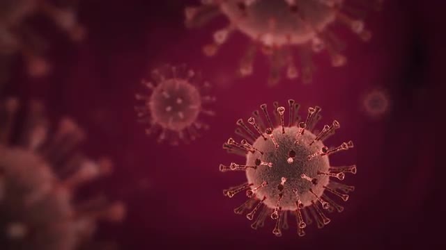 Corona virus