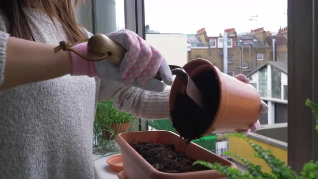 Gardening