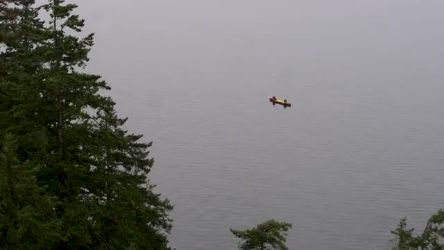 Aerial_Single Canoe Retreat Behind Trees 4k.mov