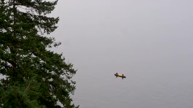 Aerial_Single Canoe Reveal behind trees 4k HS60.mov