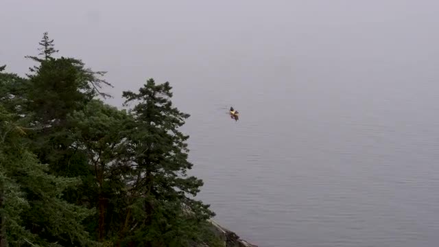 Aerial_SIngle Canoe Reveal thru trees_4k.mov