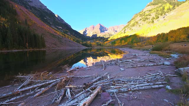 Panning Maroon Bells Colorado at sunrise with colorful autumn aspen foliage