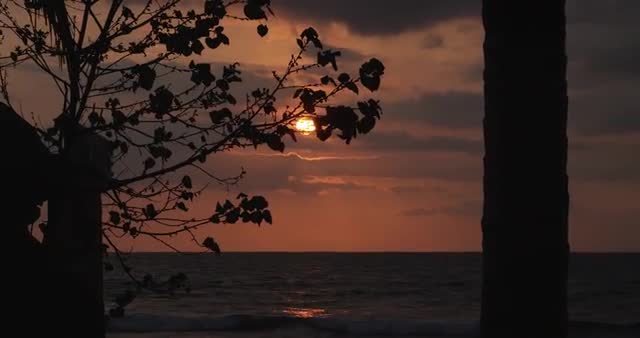 Pbp 10 22 13 B011 C031 0603Tp