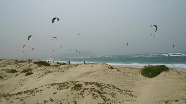 beach with many kite surfers at Cape Verde island