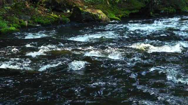 slow motion shot of river with streaming water