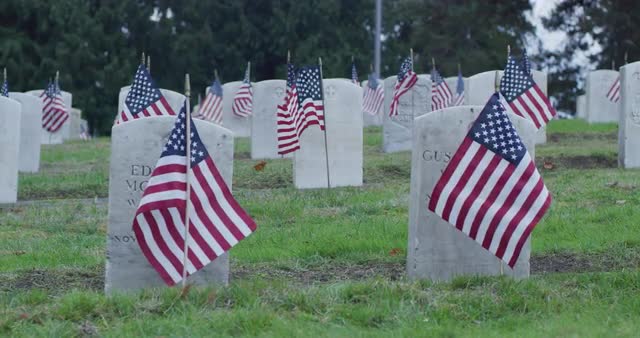Medium static shot of cemetery on Veteran's Day 