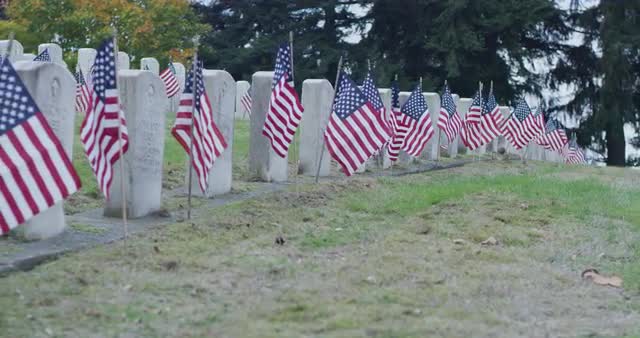 Medium driving shot of cemetery on Veteran's Day 