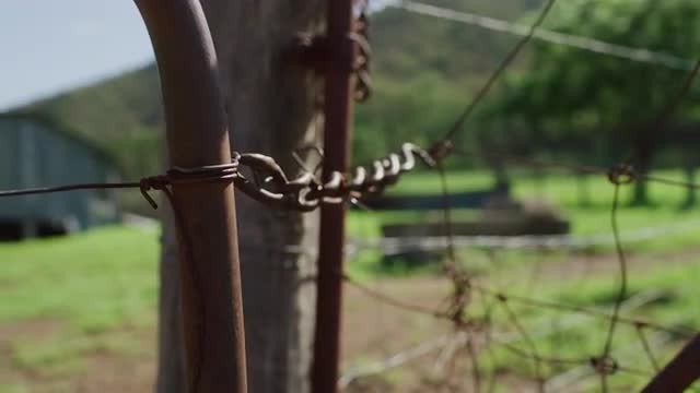 Farm Gate with Chain