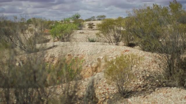 Old Mullock heaps from Opal Mining 