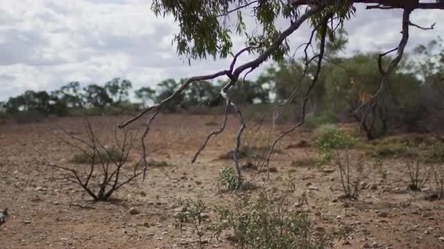 Dried Creek Bed outback NSW Ausralia