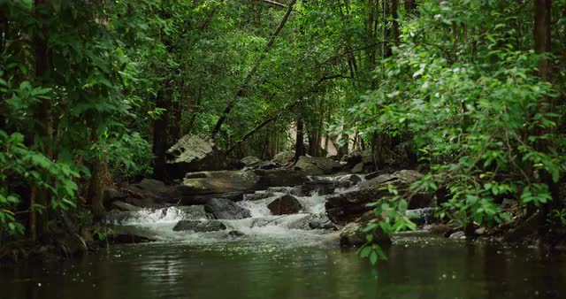 Rapids in river