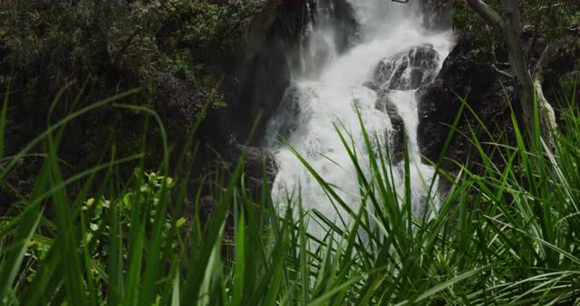 Waterfall Litchfield national park