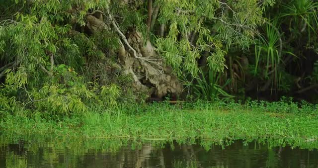 Kakadu National Park Wetlands