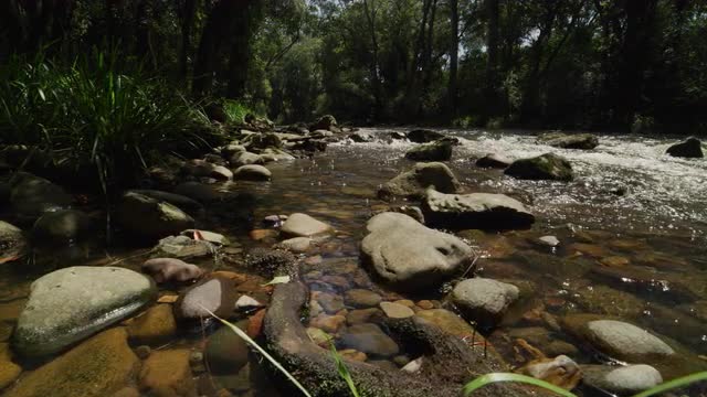 Karuah River Rapids NSW Australia 