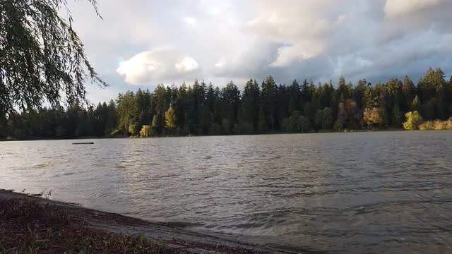 Waves on the lake with the fall trees on background on a cloudy day