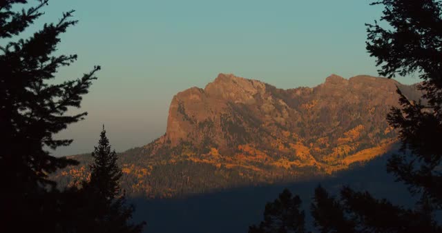 Navajo Peak through trees at sunrise, Long Static
