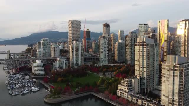 Aerial view of downtown Vancouver with red and green trees in the fall