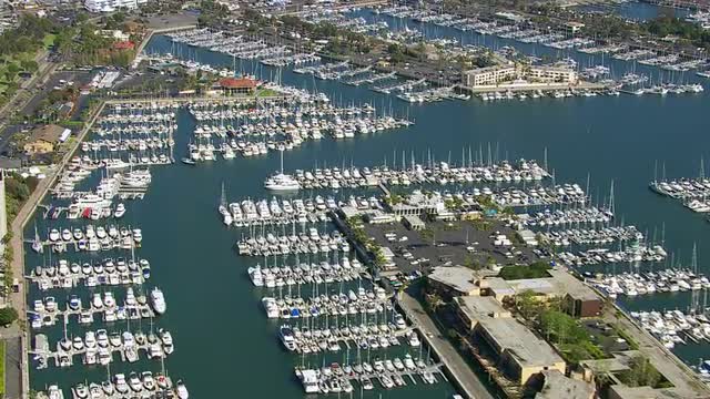 Aerial view of sail boats docked in harbor