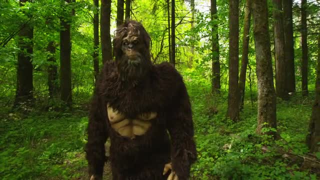 120509Bigfoot02_HD.MOV