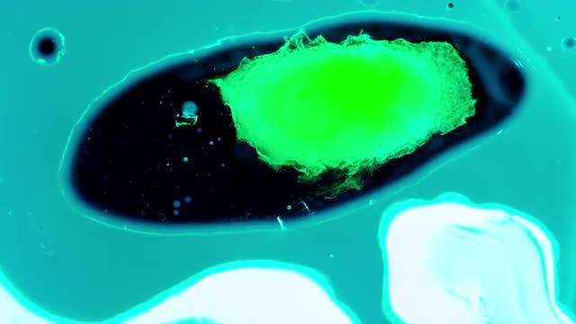 A001 C017 01256N V1 0030