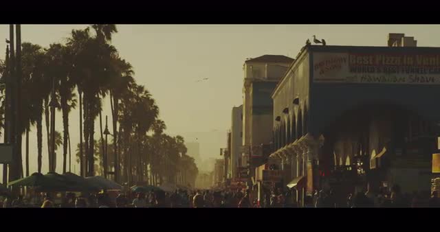 Venice Long Shot