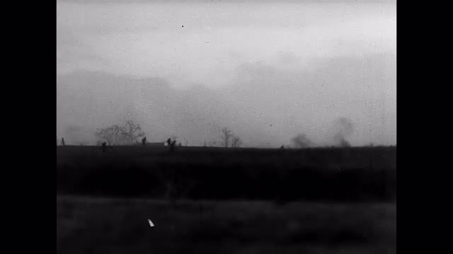 288189495 / German Military / Eastern Front / Second World War / 