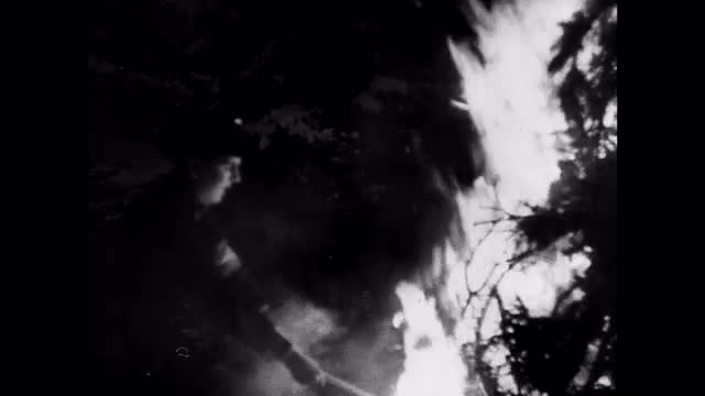 171401424 / Hitler Youth / Solstice / 3rd Reich / Germany / 