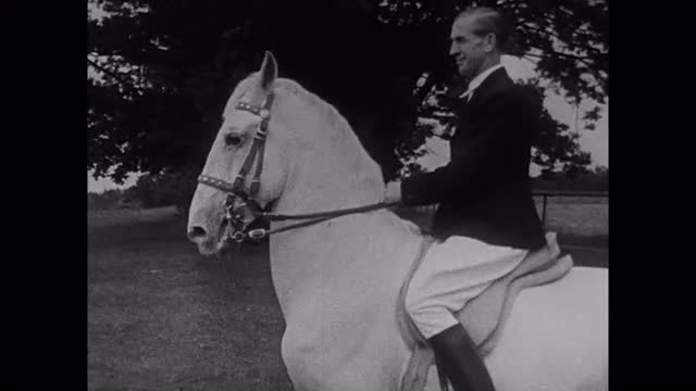 450758914 / Lippizaner / Dressage / Germany / 1950