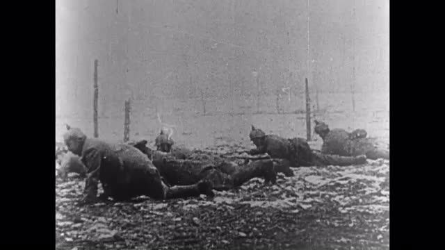 431209065 / Battlefield / German Army / First World War / 