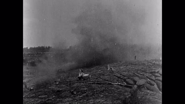 451166443 / Artillery / German Army / First World War / 
