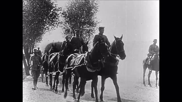 747390502 / Logistics / German Army / First World War / 