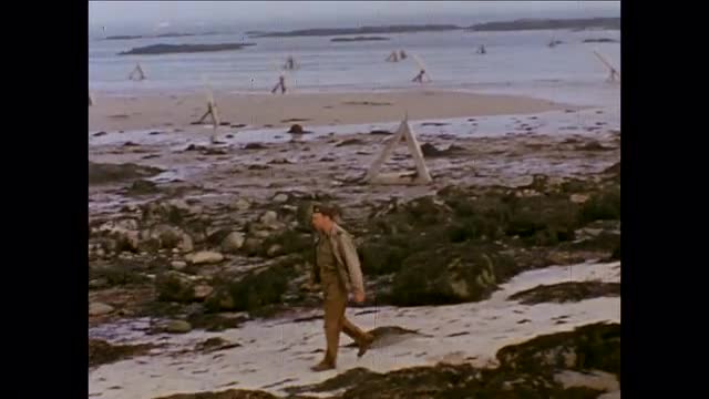 397802031 / D-Day / Normandy / 1944