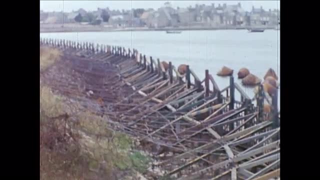 235586943 / D-Day / Normandy / 1944