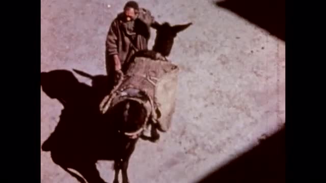 867319330 / Medina Quarter / Casablanca / 1944