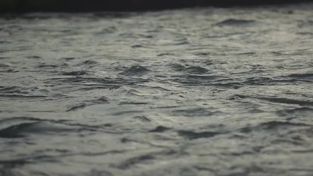 Slow moving water