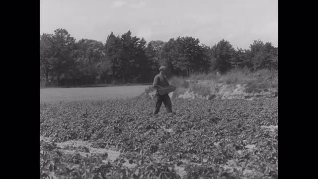 628992647 / Agribusiness / Germany / 