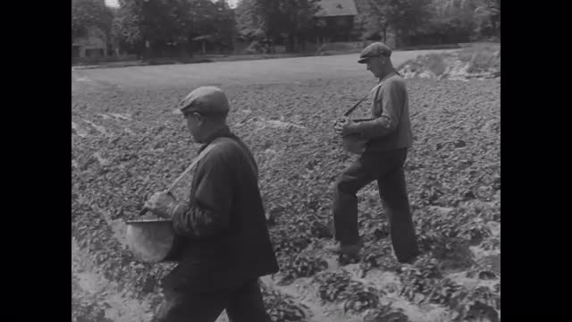 755158664 / Agribusiness / Germany / 