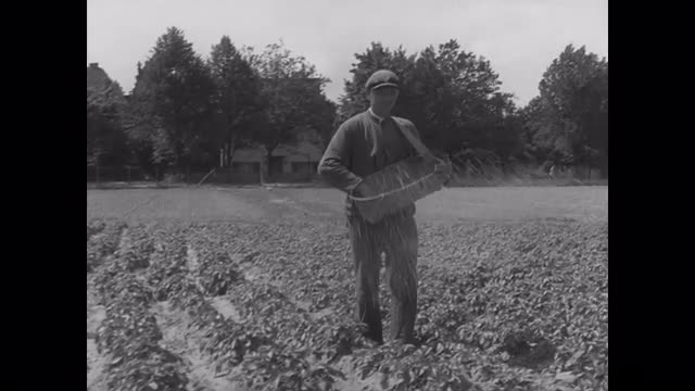 763475840 / Agribusiness / Germany / 