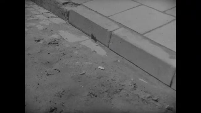 282173862 / Lodz / 3rd Reich / Poland / 