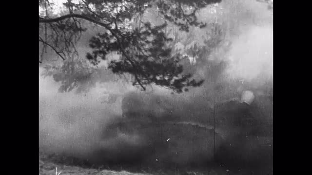 450053851 / Eastern Front / End of War / Second World War / 