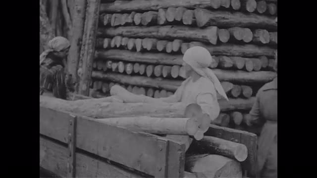 371038535 / Feminism / Mine / France / 