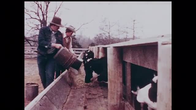 299104278 / College of the Ozarks / Missouri / USA / 